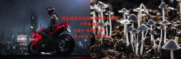 эйфоретик Богородск
