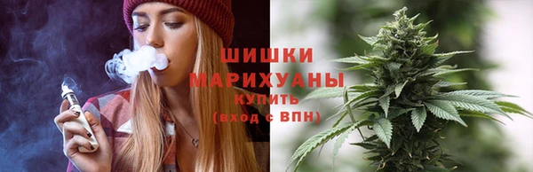 ПСИЛОЦИБИНОВЫЕ ГРИБЫ Белоозёрский