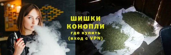 ПСИЛОЦИБИНОВЫЕ ГРИБЫ Белоозёрский