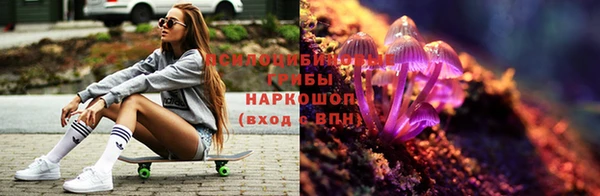 ПСИЛОЦИБИНОВЫЕ ГРИБЫ Белоозёрский